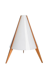 Ovanlig bordslampa av Hans-Agne Jakobsson, 50-tal